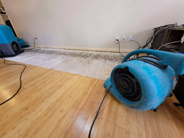 Professional Water Removal technician working in Roslyn, WA